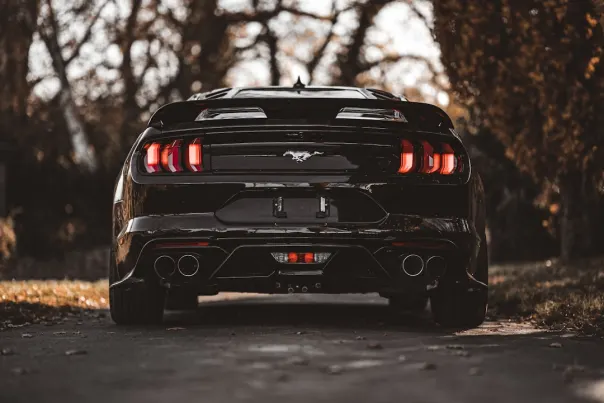 Casino Posh Bingo App Android/iOS